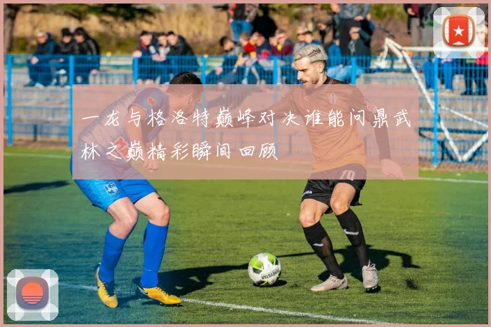 一龙与格洛特巅峰对决谁能问鼎武林之巅精彩瞬间回顾