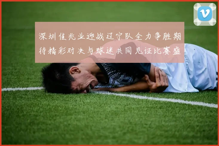 深圳佳兆业迎战辽宁队全力争胜期待精彩对决与球迷共同见证比赛盛况