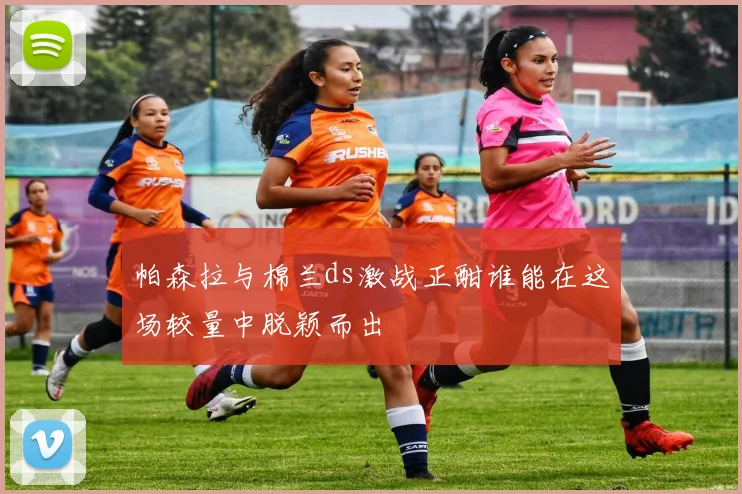帕森拉与棉兰ds激战正酣谁能在这场较量中脱颖而出