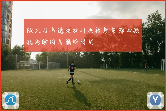 欧文与韦德经典对决视频集锦回顾精彩瞬间与巅峰时刻