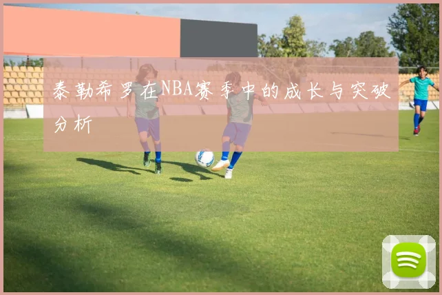 泰勒希罗在NBA赛季中的成长与突破分析