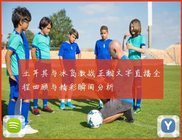 土耳其与冰岛激战正酣文字直播全程回顾与精彩瞬间分析