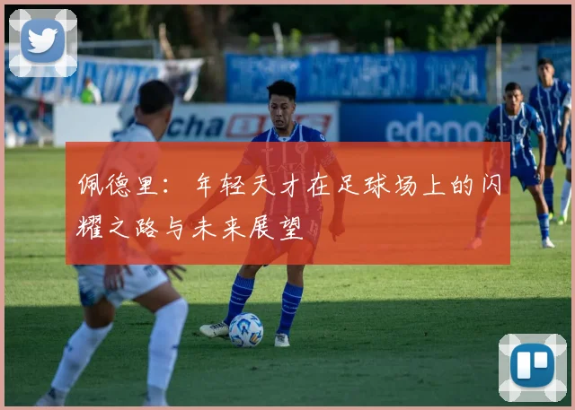 佩德里：年轻天才在足球场上的闪耀之路与未来展望