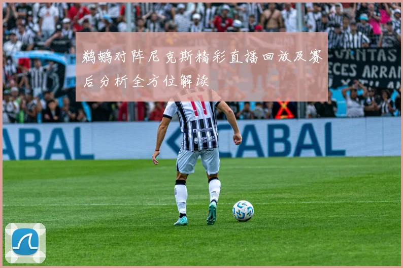 鹈鹕对阵尼克斯精彩直播回放及赛后分析全方位解读