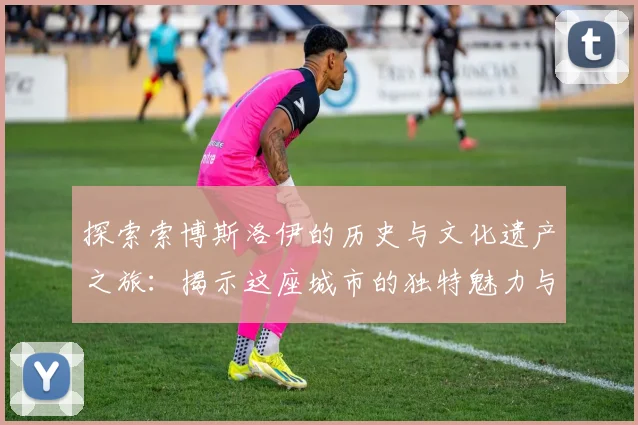 探索索博斯洛伊的历史与文化遗产之旅：揭示这座城市的独特魅力与故事