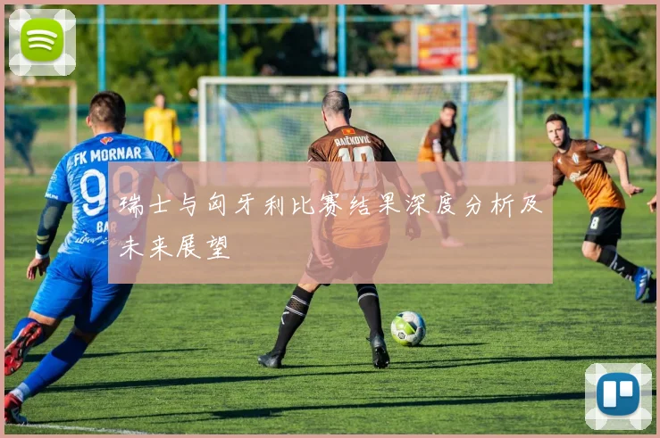 瑞士与匈牙利比赛结果深度分析及未来展望