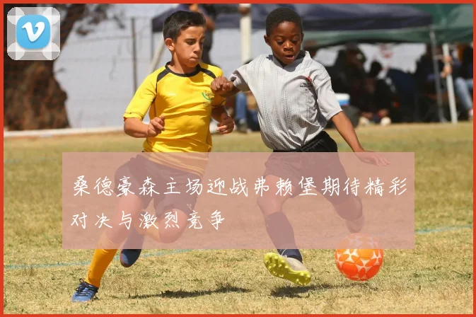 桑德豪森主场迎战弗赖堡期待精彩对决与激烈竞争